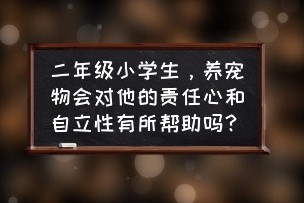 如何正确引导孩子养宠物 二年级小学生，养宠物会对他的责任心和自立性有所帮助吗？