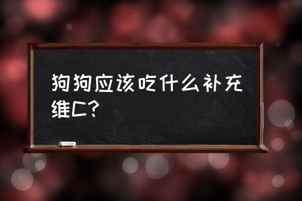 狗狗都需要补充哪些维生素 狗狗应该吃什么补充维C？