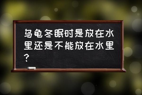 乌龟在水里冬眠可以吗 乌龟冬眠时是放在水里还是不能放在水里？