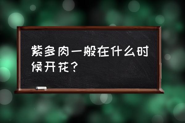 紫镜多肉开花后怎么处理 紫多肉一般在什么时候开花？