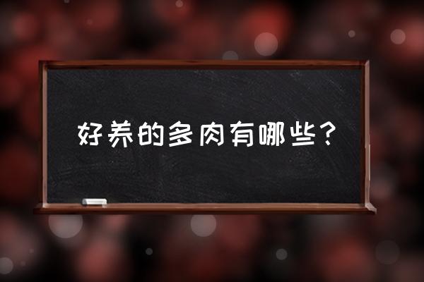 不需要怎么照顾的多肉 好养的多肉有哪些？