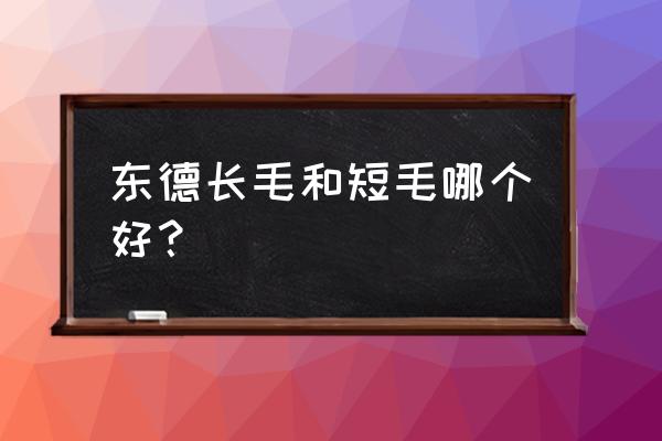 长毛狗美毛护理方法 东德长毛和短毛哪个好？