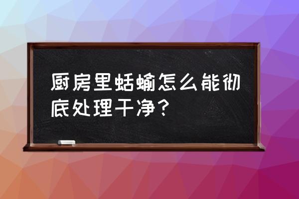 厨房老是钻出鼻涕虫哪来的 厨房里蛞蝓怎么能彻底处理干净？