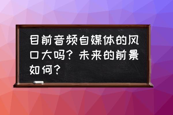 凯叔讲故事音频资源 目前音频自媒体的风口大吗？未来的前景如何？