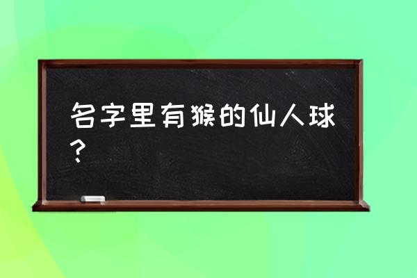 金丝猴仙人球深栽还是浅栽 名字里有猴的仙人球？