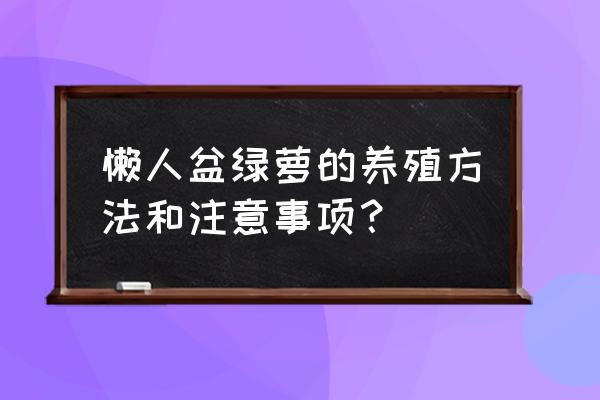 绿萝在家如何养殖 懒人盆绿萝的养殖方法和注意事项？