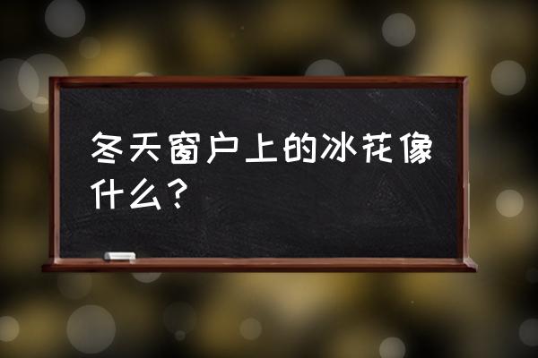 怎么照窗户上的冰花能清晰 冬天窗户上的冰花像什么？