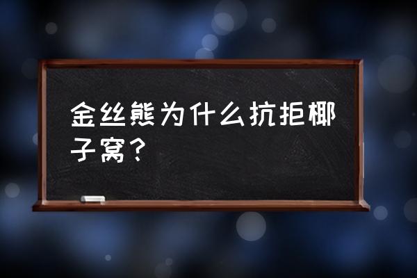 金丝熊的窝自己怎么做 金丝熊为什么抗拒椰子窝？