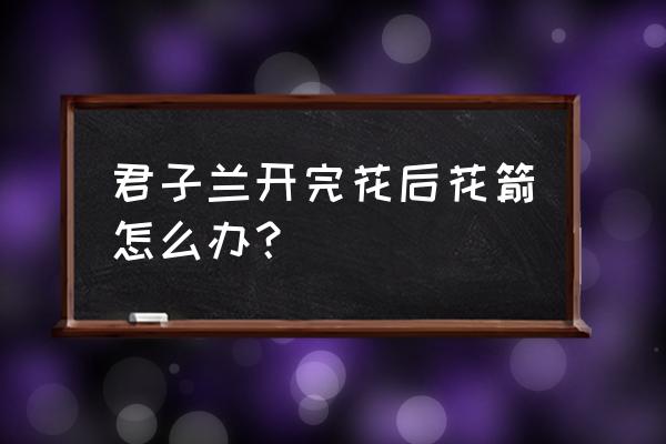 君子兰开花结果后怎样处理 君子兰开完花后花箭怎么办？