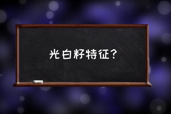 无皮色的籽玉怎样鉴别 光白籽特征？