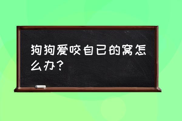 怎么改掉狗狗乱啃东西 狗狗爱咬自已的窝怎么办？