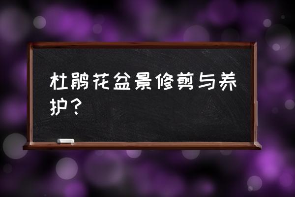 杜鹃花剪枝正确方法 杜鹃花盆景修剪与养护？