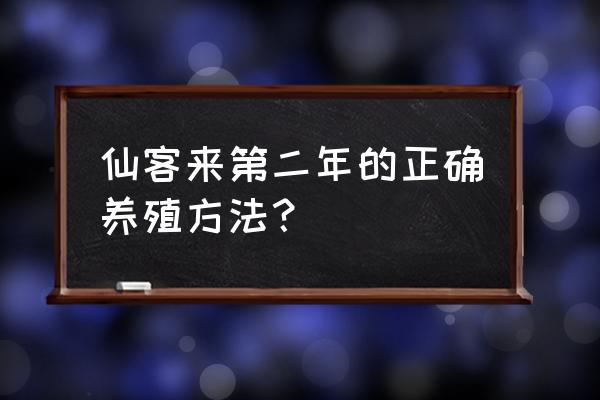 仙客来5-6月份怎么养护 仙客来第二年的正确养殖方法？