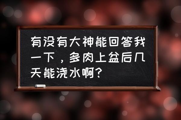 多肉插盆的正确方法 有没有大神能回答我一下，多肉上盆后几天能浇水啊？