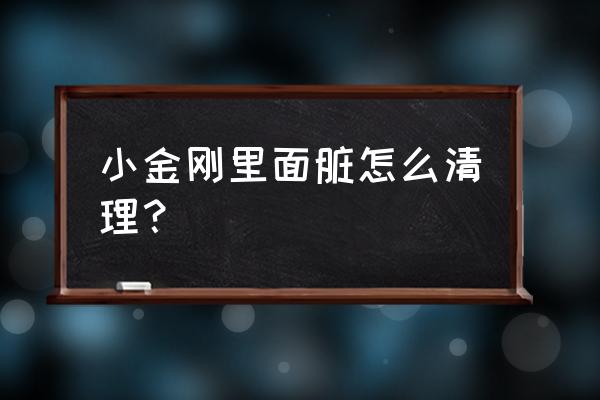 小金刚发黑怎么解决 小金刚里面脏怎么清理？