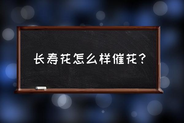 长寿花怎么催花苞 长寿花怎么样催花？