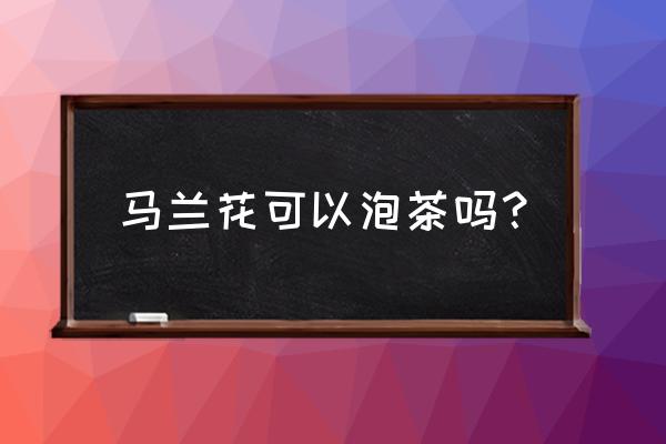 马兰花种子的正确养殖方法 马兰花可以泡茶吗？