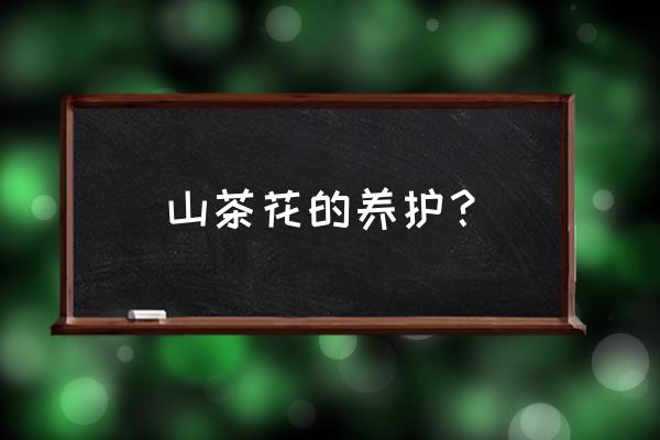 茶花如何养护最好 山茶花的养护？