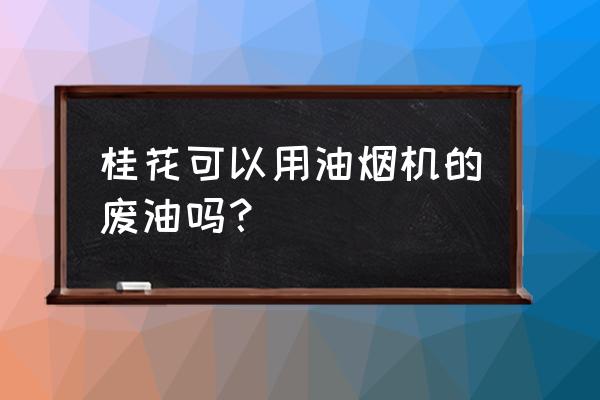 油烟机里的废油怎样喂君子兰 桂花可以用油烟机的废油吗？