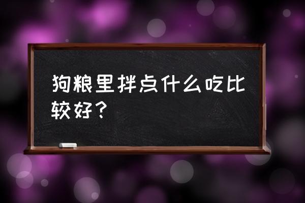 狗粮可以拌米饭吗 狗粮里拌点什么吃比较好？