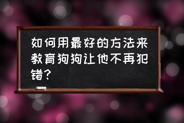 如何纠正宠物犬的坏毛病 如何用最好的方法来教育狗狗让他不再犯错？