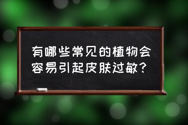 家里养的绿植会导致宝宝过敏吗 有哪些常见的植物会容易引起皮肤过敏？