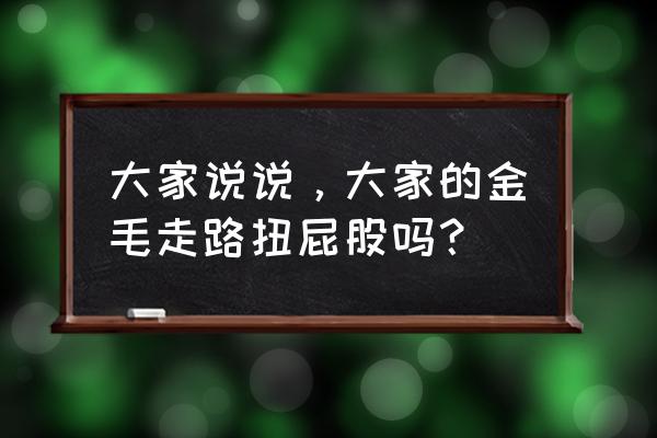 五个月金毛怎么拍好看 大家说说，大家的金毛走路扭屁股吗？