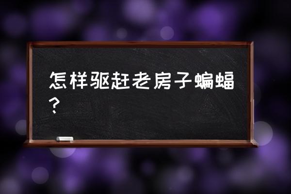 屋子里住着蝙蝠怎么办 怎样驱赶老房子蝙蝠？