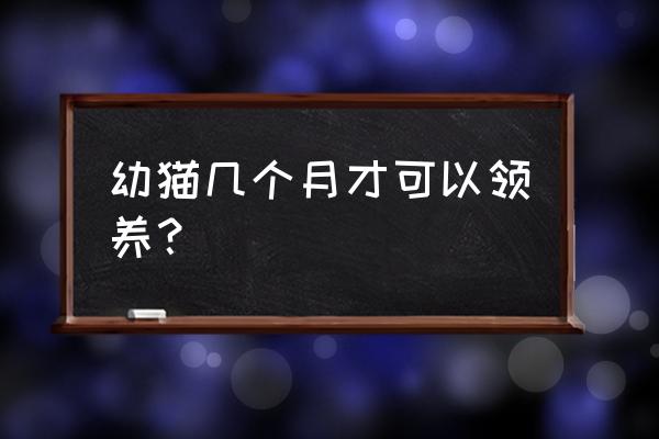 如何给新生婴儿温奶 幼猫几个月才可以领养？