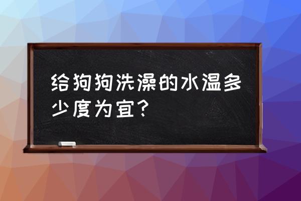 怎么给狗洗澡正确方法 给狗狗洗澡的水温多少度为宜？