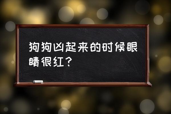 狗狗眼睛受伤充血能自愈吗 狗狗凶起来的时候眼睛很红？