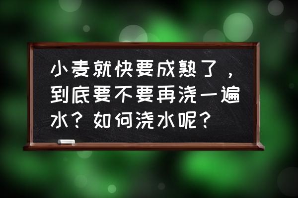 见效最快的浇花方法 小麦就快要成熟了，到底要不要再浇一遍水？如何浇水呢？