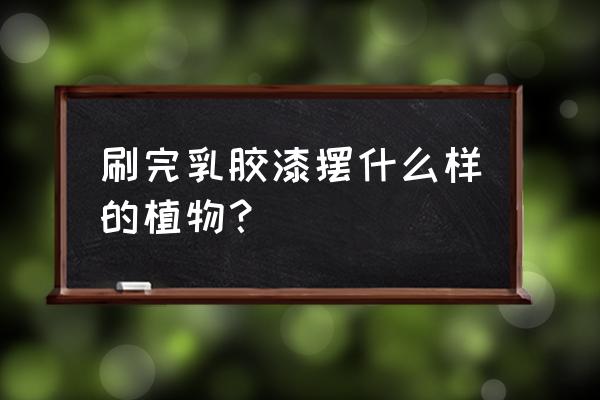 什么植物在水中吸收污染最好 刷完乳胶漆摆什么样的植物？