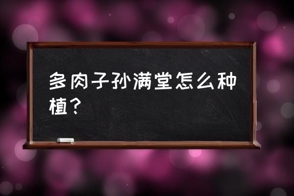 怎么栽多肉植物 多肉子孙满堂怎么种植？