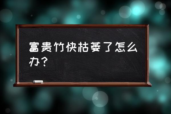 富贵竹没有暖气怎样过冬 富贵竹快枯萎了怎么办？