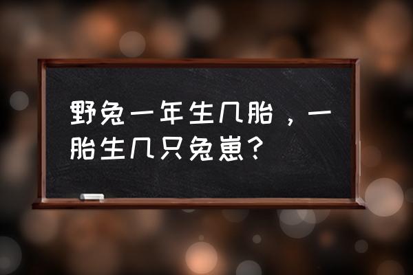 草原烤全兔套餐介绍 野兔一年生几胎，一胎生几只兔崽？