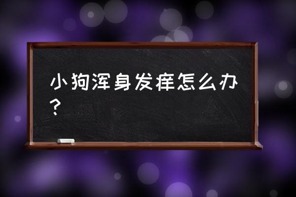 狗狗身上痒还有发热的症状 小狗浑身发痒怎么办？