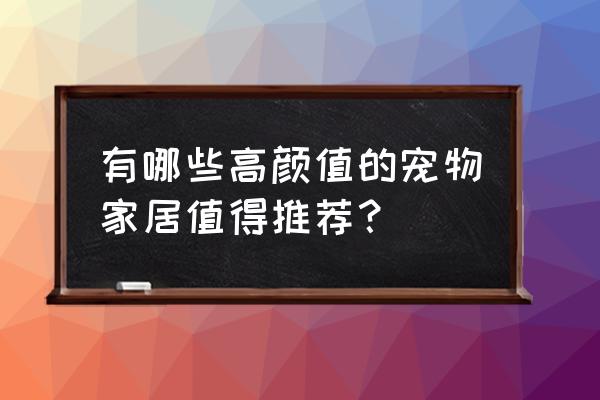 打造温馨舒适家居生活 有哪些高颜值的宠物家居值得推荐？