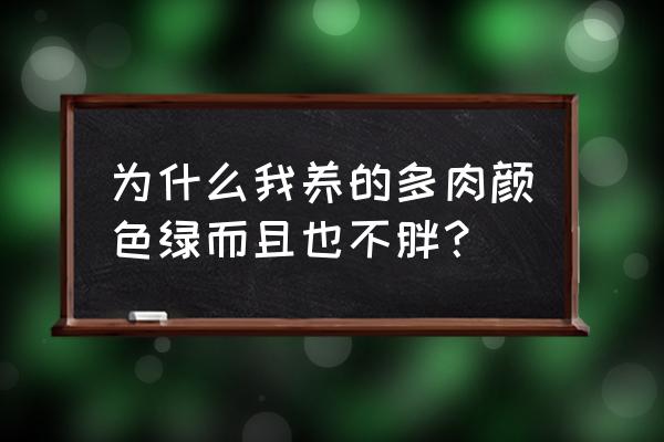 奥普琳娜的繁殖方法和注意事项 为什么我养的多肉颜色绿而且也不胖？