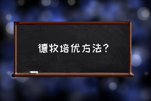 八个月德国牧羊犬怎样训练的呢 德牧培优方法？