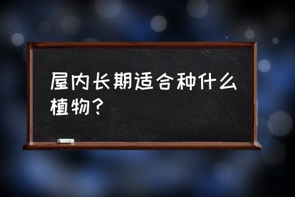 什么室内植物不需要经常浇水 屋内长期适合种什么植物？