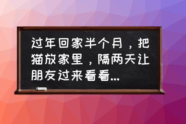 春节回家20天猫咪怎么办 过年回家半个月，把猫放家里，隔两天让朋友过来看看，应该没事吧？