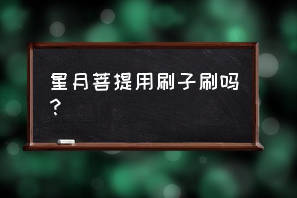 菩提子用什么刷子清理最好 星月菩提用刷子刷吗？