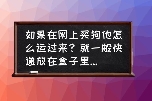 简单的纸板小狗详细教程 如果在网上买狗他怎么运过来？就一般快递放在盒子里不会闷死？