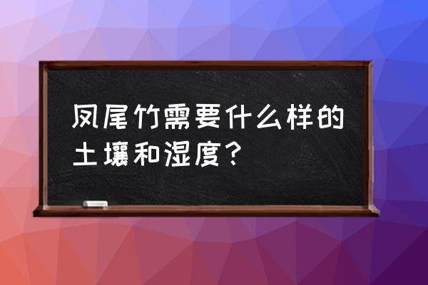 凤尾竹怎么浇水最好 凤尾竹需要什么样的土壤和湿度？