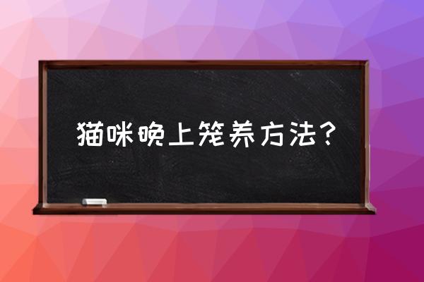 猫笼新手入门教程 猫咪晚上笼养方法？