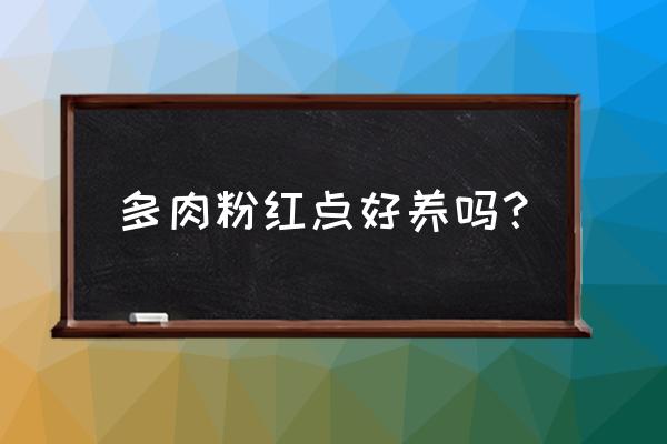 红粉佳人多肉怎么养长得好 多肉粉红点好养吗？