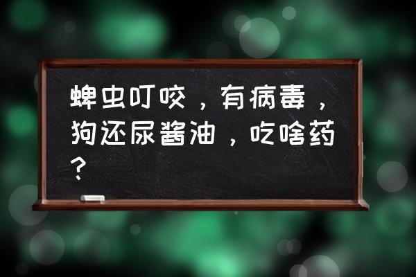 宠物狗被蜱虫咬了怎么办用什么药 蜱虫叮咬，有病毒，狗还尿酱油，吃啥药？