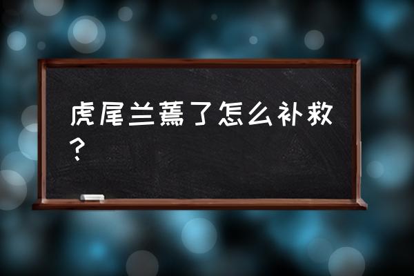 虎皮兰不长新叶什么原因 虎尾兰蔫了怎么补救？