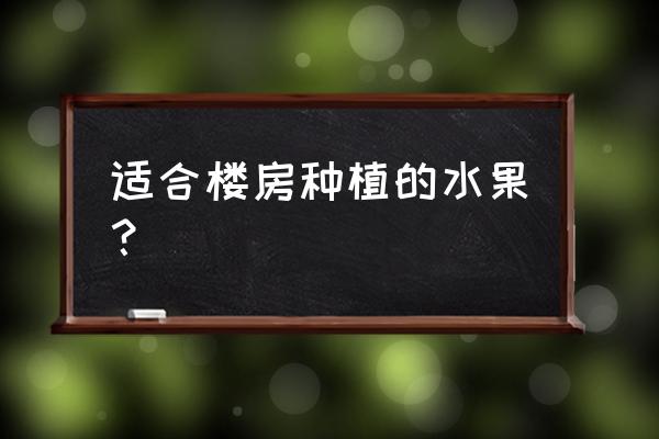 一年四季阳台都可以种植的水果 适合楼房种植的水果？